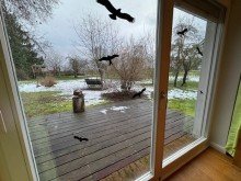 Terrasse Nebengeb�ude Mehrgenerationenhaus in ehemaliger Schule � Bezugsfertig mit gro�em Grundst�ck in Gommlo